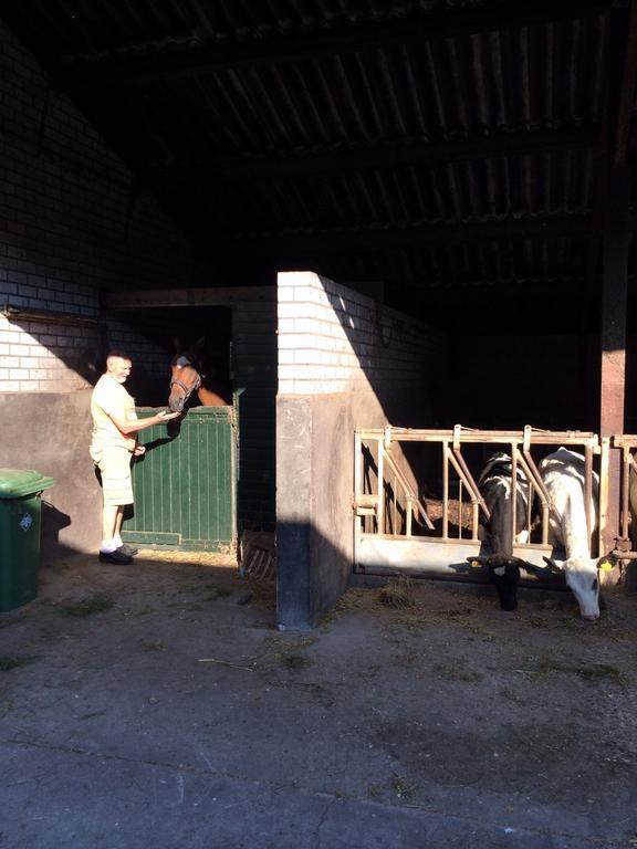 B&B De Laarhoeve Waalre エクステリア 写真